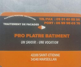 Pro Platre Batiment image 9