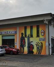 Gallery Cliente