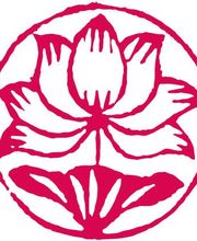 JS Grill - Médecine chinoise et vietnamienne image 1