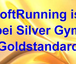 Silver Gym Bild 3