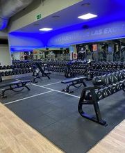 Gimnasio VivaGym Son Fuster imagen 2