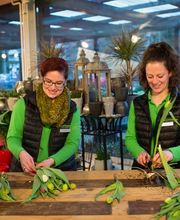 Sommerer & Co Bild 13