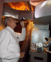 Plunkett's Pest Control image 6