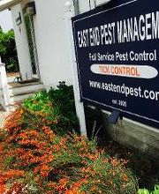 East End Pest Management Inc. image 8