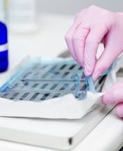 podologie RONTAL Bild 5