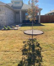 Bautista Pros Landscaping and Irrigation image 15