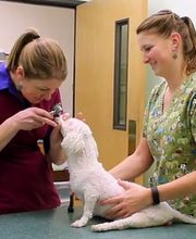 Carbon County Veterinary Hospital image 3