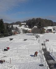 Ranch du p'tit bonheur Bild 5