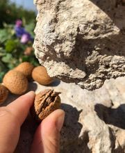 Borgo Monacizzo B&B immagine 6