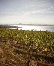 Domaine Saint-Sébaste Bild 7