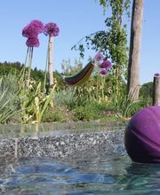 Artho Gärten AG Bild 7