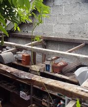 Careme Gregory image 6