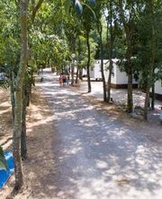 Les Micocouliers image 14