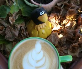 Cafe Tasse Inh. Birgit Fay Bild 2