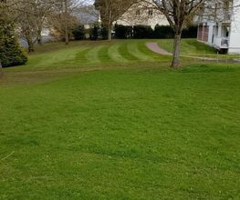 Berthelot Paysage image 5