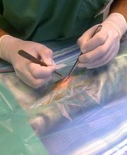 Clinique Vétérinaire De L' Astarac image 3