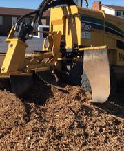 Little C Tree Service image 4