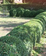 Hortum Jardins naturels image 5