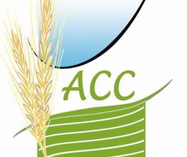 Acti Compta Conseil image 2