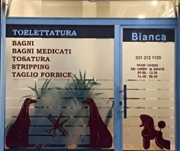 Gallery Cliente