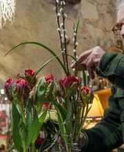 Art Et Nature image 7