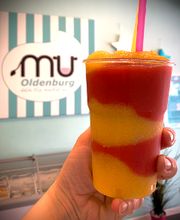 Eisbar MU Oldenburg Bild 11