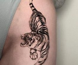 Cosmos Tattoo Bild 6