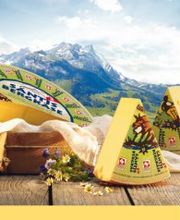 Berg-Käserei Gais AG Bild 7