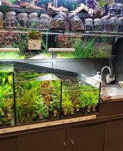 Animalis Bergerac image 5