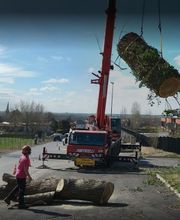 Eco Paysages image 8