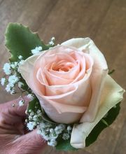 Blumengeschäft riedland.ch Bild 12