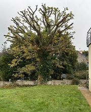 Sos Elagage image 16