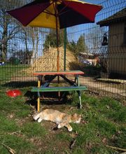 Les Moustaches en Vacances image 7