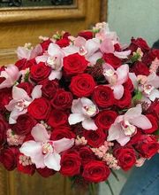 Les Fleuridées Bild 9