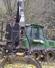 Frank Galster Forstunternehmen Bild 1