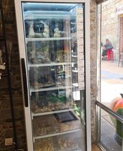 DELICIAS DEL BOSQUE imagen 11