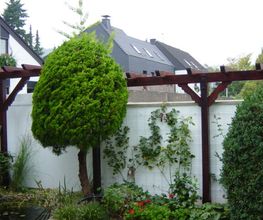 Pergola