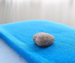 Praxis Silvestri Craniosacral Therapie & FOI in Baden Bild 18