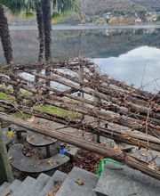 Carlo Bagutti Giardiniere Bild 11