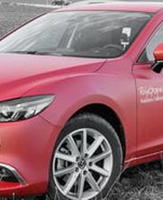 Polygraphic | Polydigital Bild 7