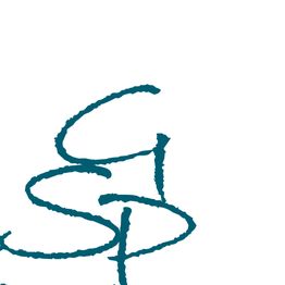 GSP Güssow Stephan Patientenfahrten GmbH & Co. KG logo