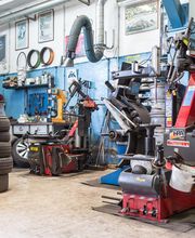 Gallery Professionale