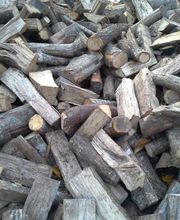 Castor Bois image 6