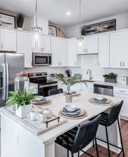 Yardly Monroe image 12