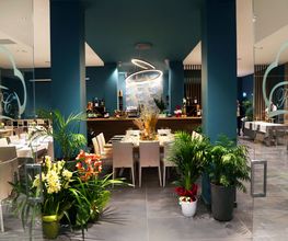 Gallery Cliente