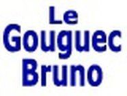 M. Bruno LE GOUGUEC