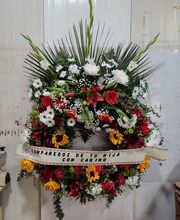 Floristería María Eugenia imagen 8