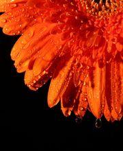 Centre De Formation Prive 2S image 5