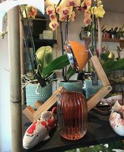 Guyard Benoît image 4