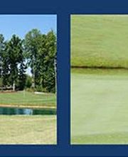 Chesdin Landing image 4